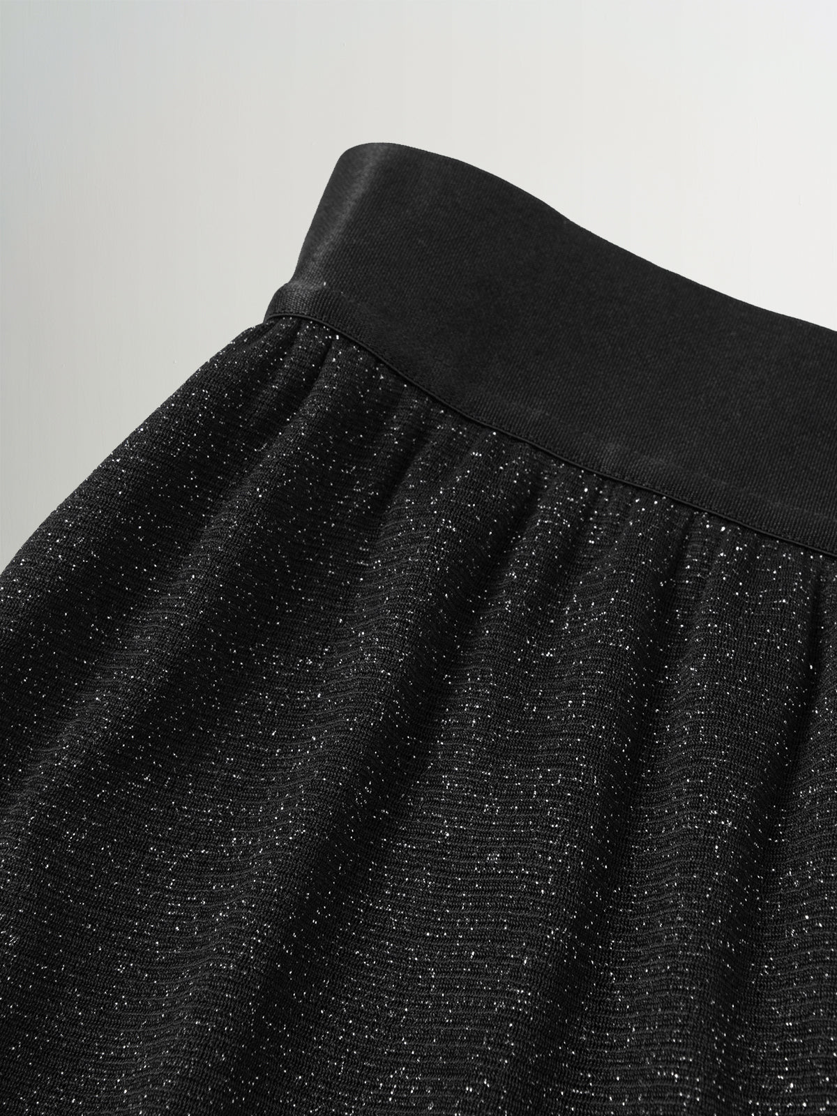 Shimmery Mesh Maxi Skirt
